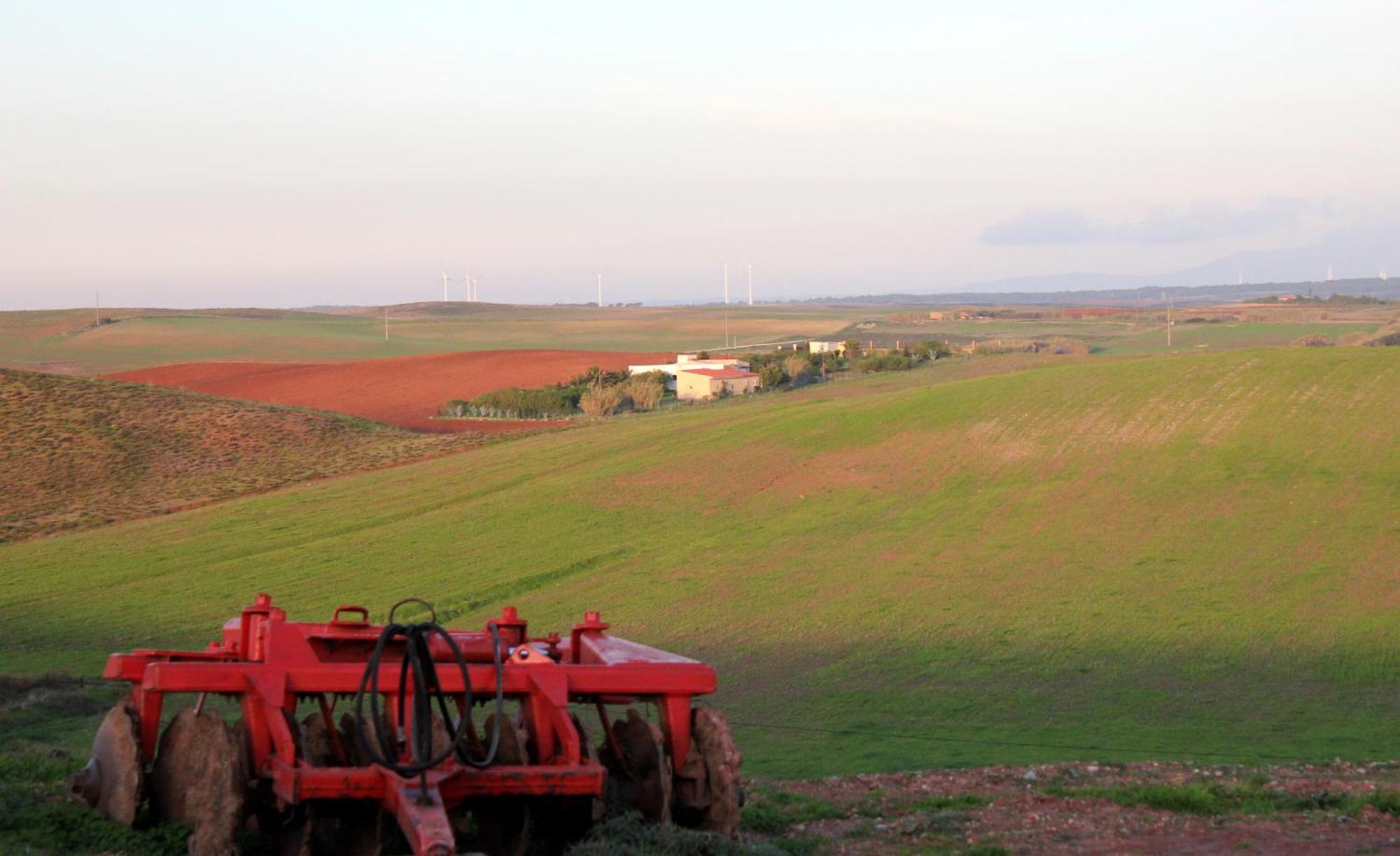 Monte De Santo Antonio - Turismo Rural Vila do Bispo Oda fotoğraf